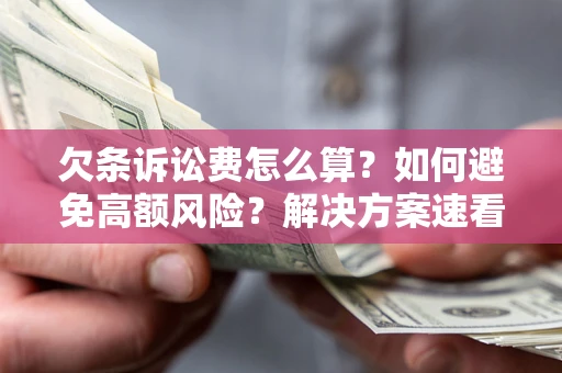 武汉欠条诉讼费怎么算？如何避免高额风险？解决方案速看！