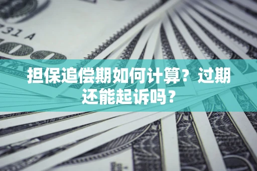 武汉担保追偿期如何计算？过期还能起诉吗？