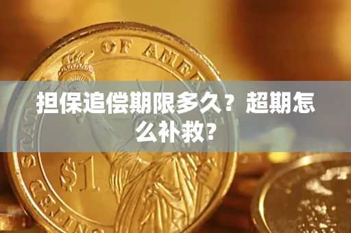 武汉担保追偿期限多久？超期怎么补救？