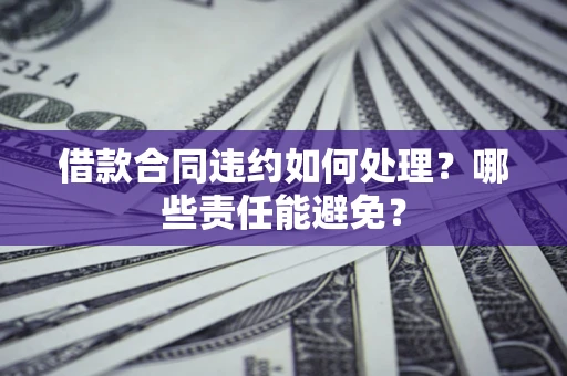 武汉借款合同违约如何处理？哪些责任能避免？