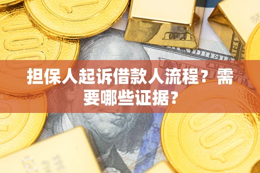 武汉担保人起诉借款人流程？需要哪些证据？